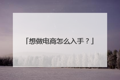 想做电商怎么入手?