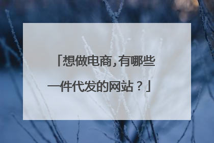 想做电商,有哪些一件代发的网站？