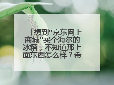 想到“京东网上商城”买个海尔的冰箱,不知道那上面东西怎么样?希望买台省电点的