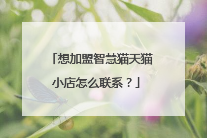 想加盟智慧猫天猫小店怎么联系?