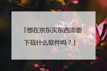 想在京东买东西需要下载什么软件吗?