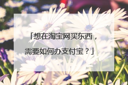 想在淘宝网买东西,需要如何办支付宝?
