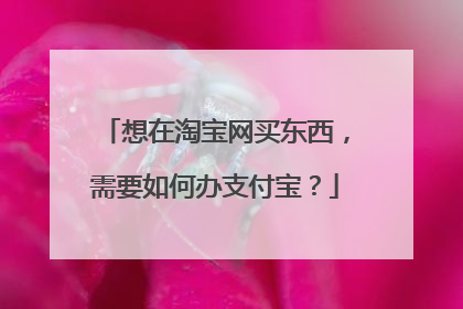 想在淘宝网买东西,需要如何办支付宝?