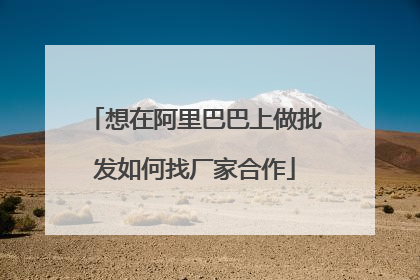 想在阿里巴巴上做批发如何找厂家合作