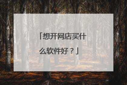 想开网店买什么软件好?