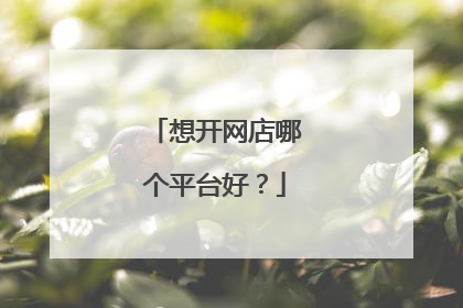 想开网店哪个平台好?