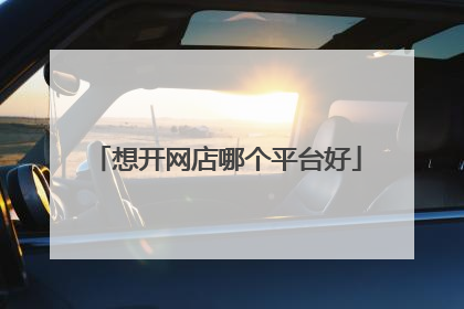 想开网店哪个平台好