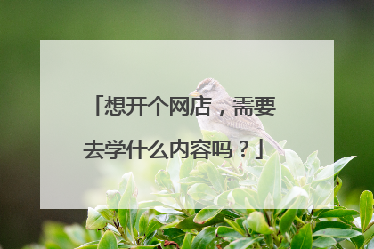 想开个网店，需要去学什么内容吗？
