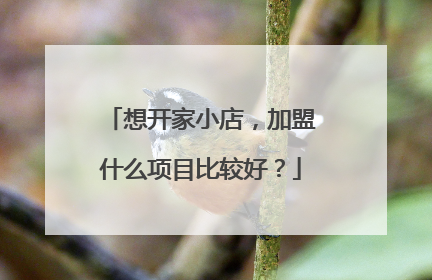 想开家小店,加盟什么项目比较好?