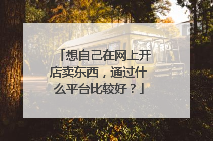 想自己在网上开店卖东西,通过什么平台比较好?