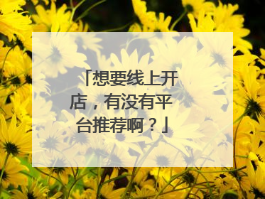 想要线上开店,有没有平台推荐啊?