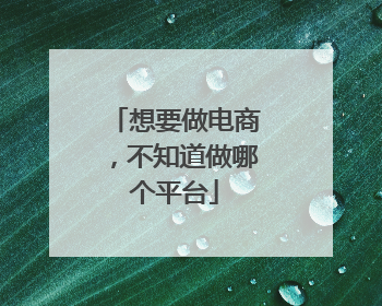 想要做电商,不知道做哪个平台