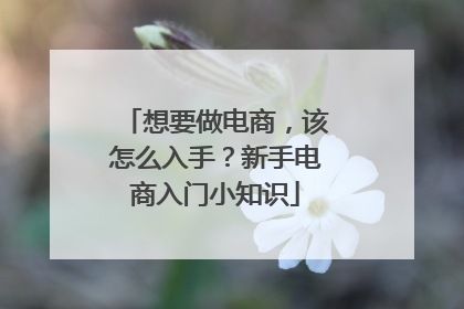 想要做电商，该怎么入手？新手电商入门小知识