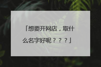 想要开网店,取什么名字好呢???