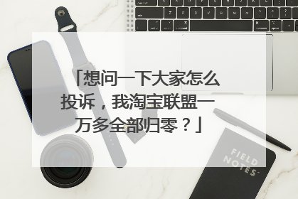 想问一下大家怎么投诉,我淘宝联盟一万多全部归零?