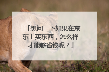 想问一下如果在京东上买东西,怎么样才能够省钱呢?