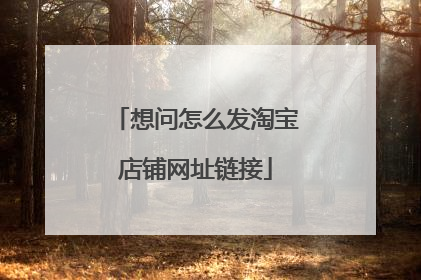 想问怎么发淘宝店铺网址链接