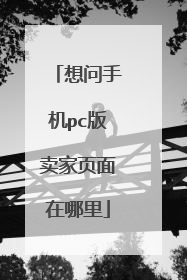 想问手机pc版卖家页面在哪里