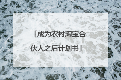 成为农村淘宝合伙人之后计划书