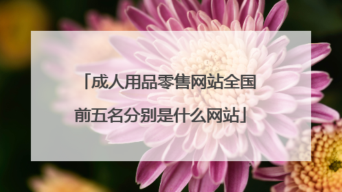 成人用品零售网站全国前五名分别是什么网站