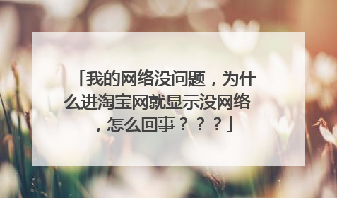 我的网络没问题,为什么进淘宝网就显示没网络,怎么回事???
