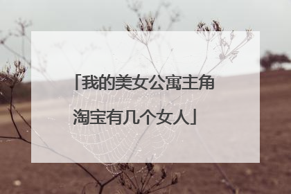 我的美女公寓主角淘宝有几个女人