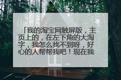 我的淘宝网触屏版,主页上的,在左下角的大淘字,我怎么找不到呀,好心的人帮帮我吧!现在我的淘宝网找动