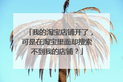 我的淘宝店铺开了，可是在淘宝里面却搜索不到我的店铺？
