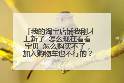 我的淘宝店铺我刚才上新了 怎么现在看看宝贝 怎么购买不了,加入购物车也不行的?什么原因?