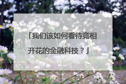 我们该如何看待竞相开花的金融科技?