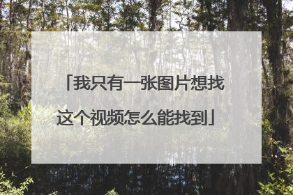 我只有一张图片想找这个视频怎么能找到