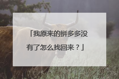 我原来的拼多多没有了怎么找回来?