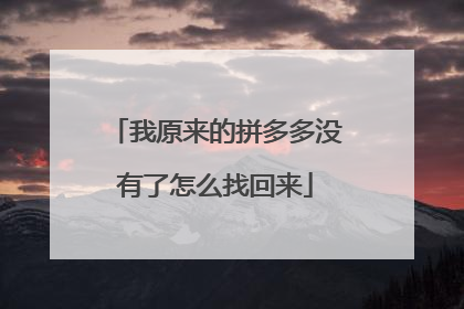 我原来的拼多多没有了怎么找回来