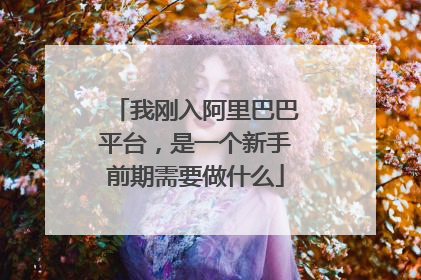 我刚入阿里巴巴平台,是一个新手前期需要做什么