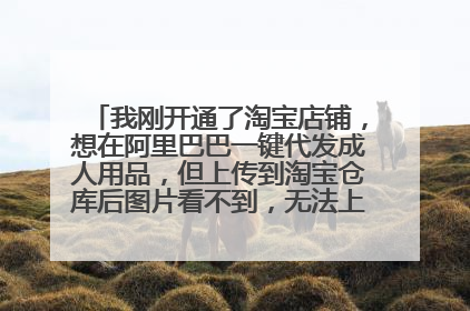 我刚开通了淘宝店铺，想在阿里巴巴一键代发成人用品，但上传到淘宝仓库后图片看不到，无法上架，怎么办，