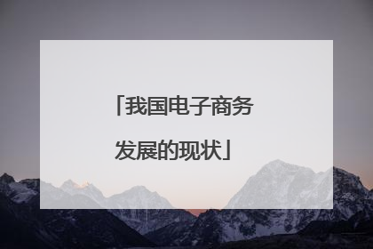 我国电子商务发展的现状