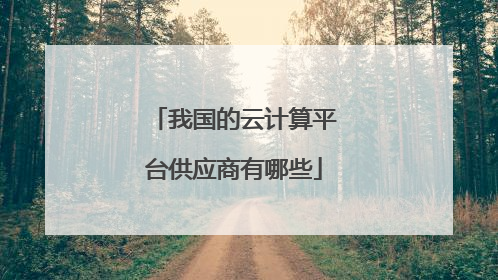 我国的云计算平台供应商有哪些