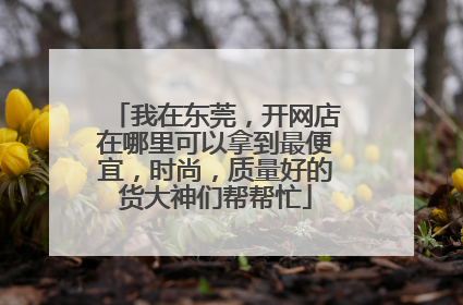 我在东莞,开网店在哪里可以拿到最便宜,时尚,质量好的货大神们帮帮忙