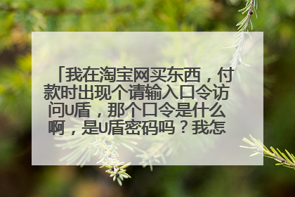 我在淘宝网买东西,付款时出现个请输入口令访问U盾,那个口令是什么啊,是U盾密码吗?我怎么打都不对啊