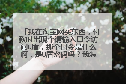 我在淘宝网买东西,付款时出现个请输入口令访问U盾,那个口令是什么啊,是U盾密码吗?我怎么打都不对啊