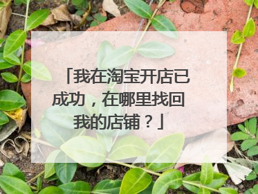 我在淘宝开店已成功,在哪里找回我的店铺?