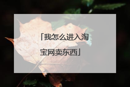 我怎么进入淘宝网卖东西