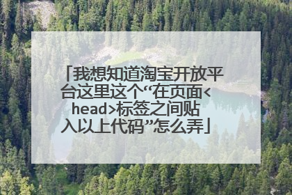 我想知道淘宝开放平台这里这个“在页面<head>标签之间贴入以上代码”怎么弄