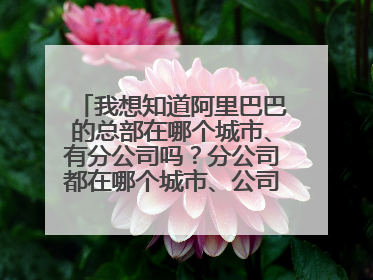 我想知道阿里巴巴的总部在哪个城市、有分公司吗？分公司都在哪个城市、公司主要招收什么专业的人才？