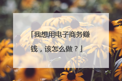 我想用电子商务赚钱,该怎么做?