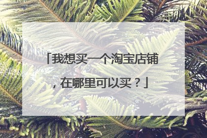 我想买一个淘宝店铺，在哪里可以买？