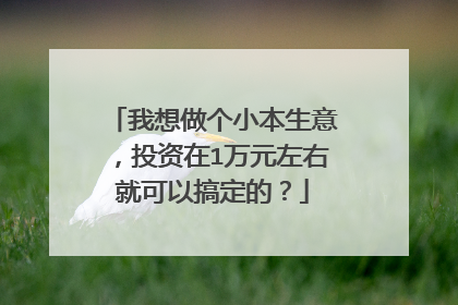 我想做个小本生意,投资在1万元左右就可以搞定的?