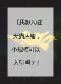 我想入驻天猫店铺，小规模可以入驻吗？