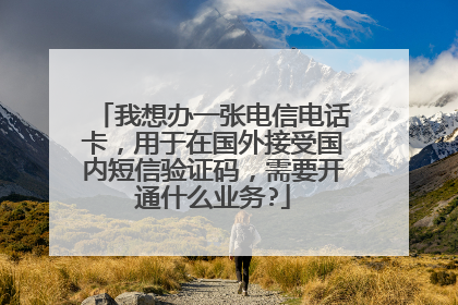 我想办一张电信电话卡，用于在国外接受国内短信验证码，需要开通什么业务?