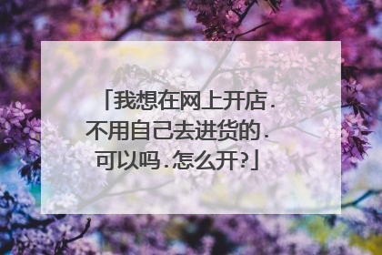 我想在网上开店.不用自己去进货的.可以吗.怎么开?